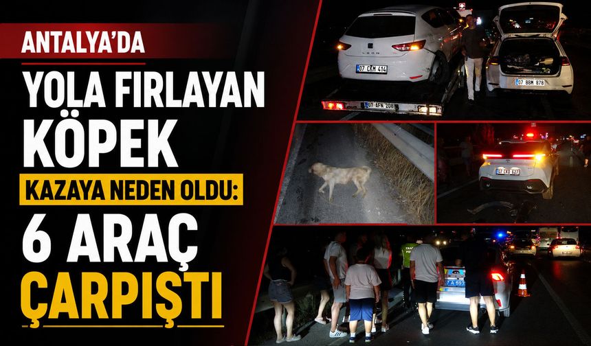 Antalya’da yola fırlayan köpek kazaya neden oldu: 6 araç çarpıştı