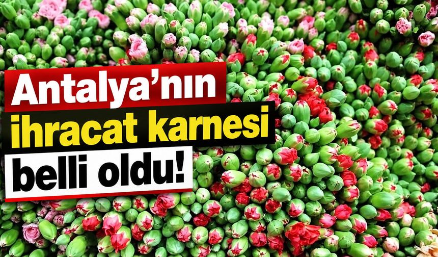 Antalya’nın ihracat karnesi belli oldu!