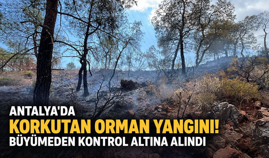 Antalya'da korkutan orman yangını! Kontrol altına alındı