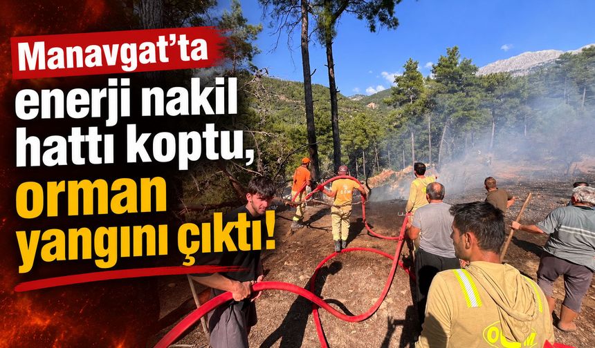 Manavgat’ta enerji nakil hattı koptu, orman yangını çıktı!