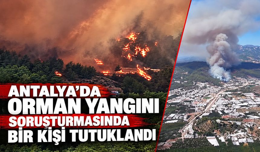 Antalya’da orman yangını soruşturmasında bir kişi tutuklandı