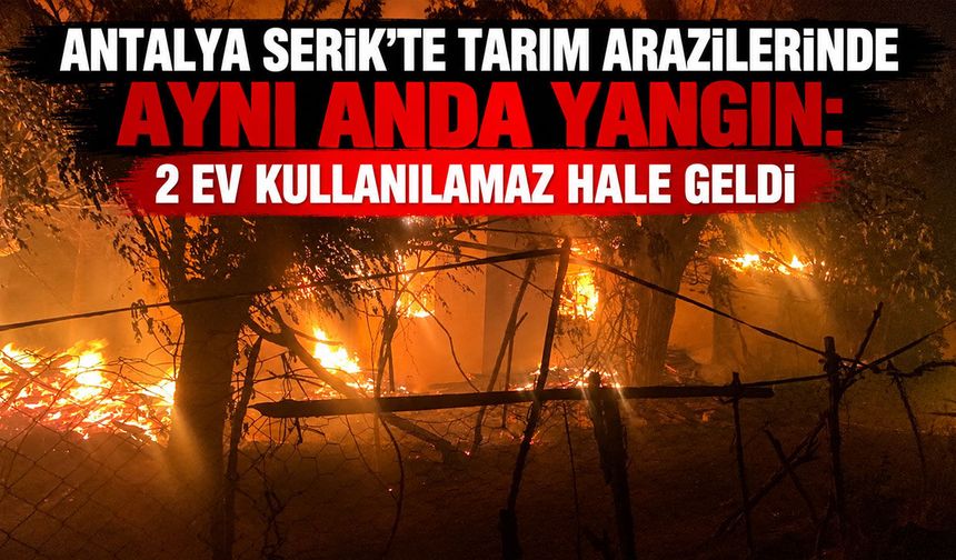 Antalya Serik’te tarım arazilerinde aynı anda yangın: 2 ev kullanılamaz hale geldi