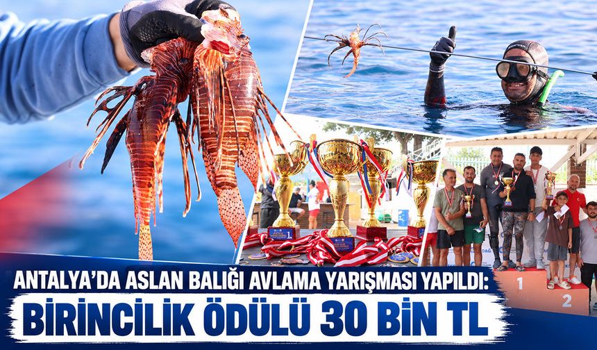 Antalya'da aslan balığı avlama yarışması yapıldı: Birincilik ödülü 30 bin TL