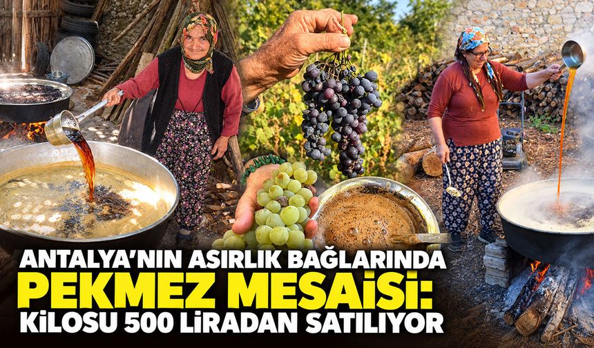 Antalya’nın asırlık bağlarında pekmez mesaisi: Kilosu 500 liradan satılıyor