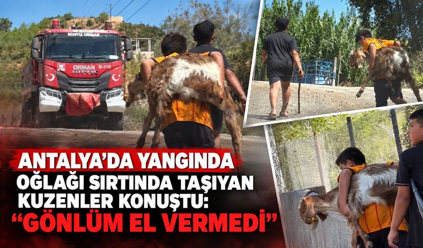 Antalya'da yangında oğlağı sırtında taşıyan kuzenler konuştu: “Gönlüm el vermedi”