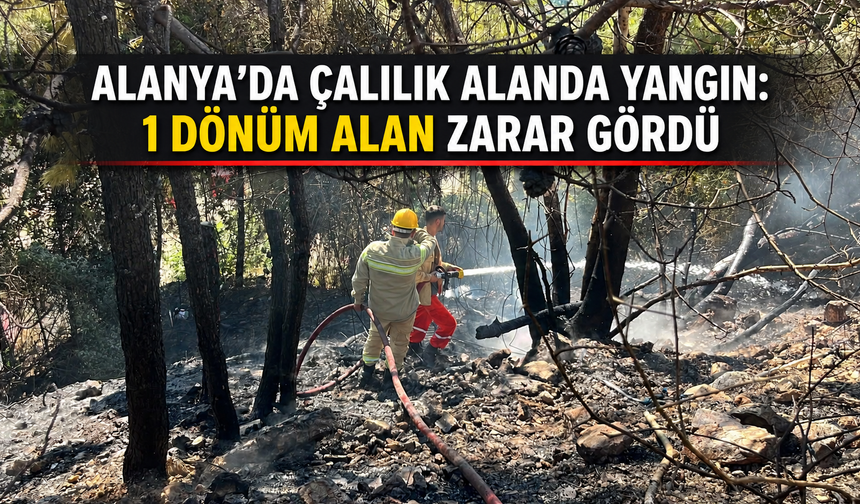 Alanya'da çalılık alanda yangın: 1 dönüm alan zarar gördü