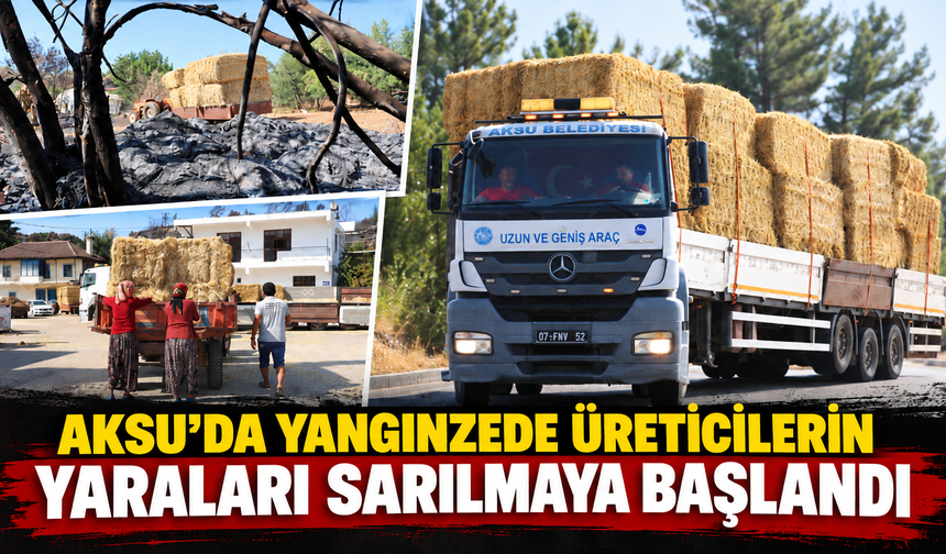 Aksu'da yangınzede üreticilerin yaraları sarılmaya başlandı