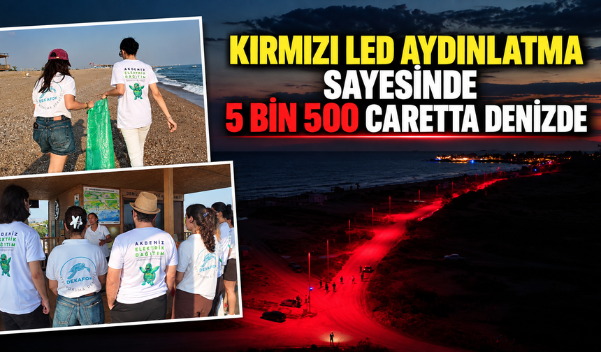 Kırmızı LED aydınlatma sayesinde 5 bin 500 caretta denizde
