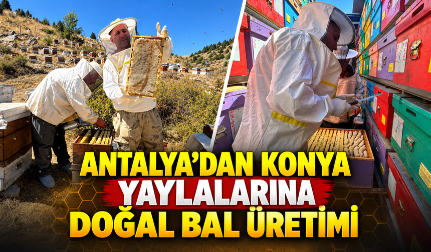Antalya'dan Konya yaylalarına doğal bal üretimi