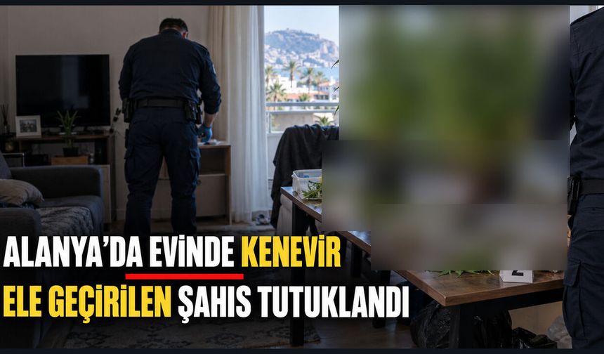 Alanya'da evinde kenevir ele geçirilen şahıs tutuklandı