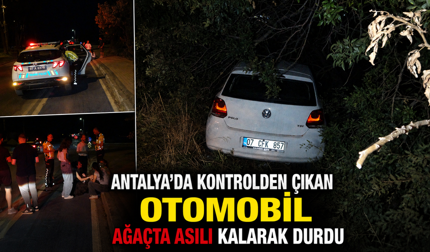 Antalya'da kontrolden çıkan otomobil ağaçta asılı kalarak durdu