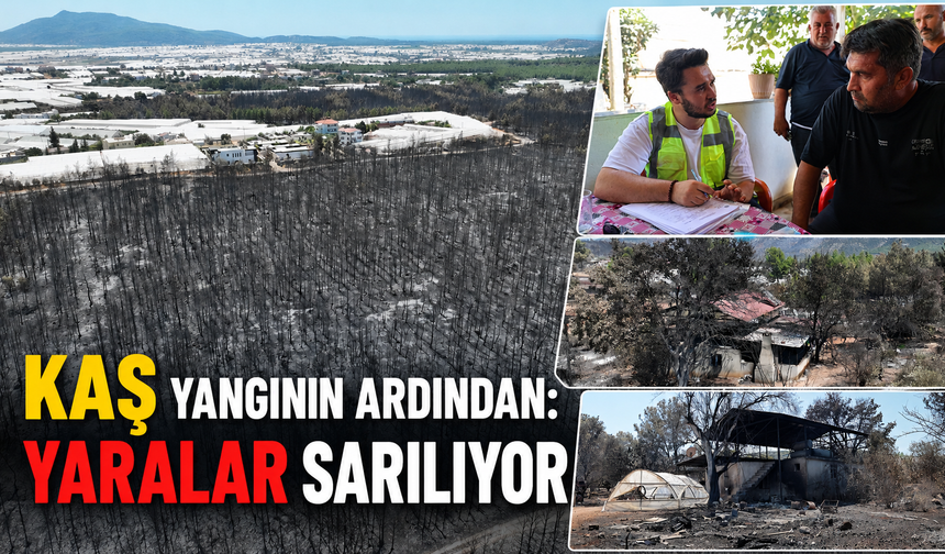 Kaş yangının ardından: Yaralar sarılıyor