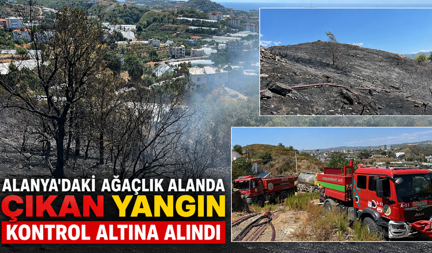 Alanya'daki ağaçlık alanda çıkan yangın kontrol altına alındı