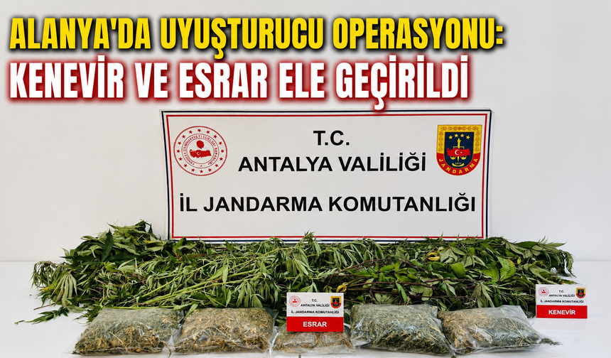 Alanya'da uyuşturucu operasyonu: Kenevir ve esrar ele geçirildi