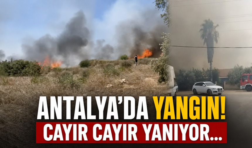 Antalya'da yangın! Cayır cayır yanıyor...