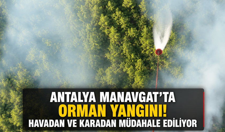Antalya Manavgat'ta orman yangını! Havadan ve karadan müdahale ediliyor