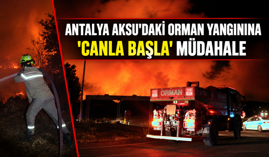 Antalya Aksu'daki orman yangınına 'canla başla' müdahale