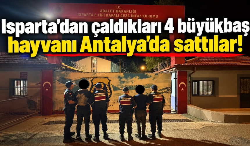 Isparta'dan çaldıkları 4 büyükbaş hayvanı Antalya'da sattılar!