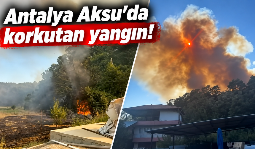 Antalya Aksu'da korkutan yangın!