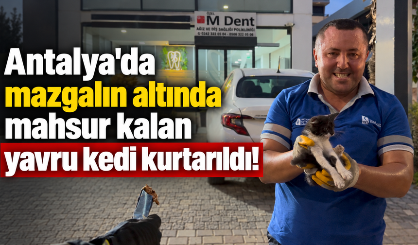 Antalya'da mazgalın altında mahsur kalan yavru kedi kurtarıldı!