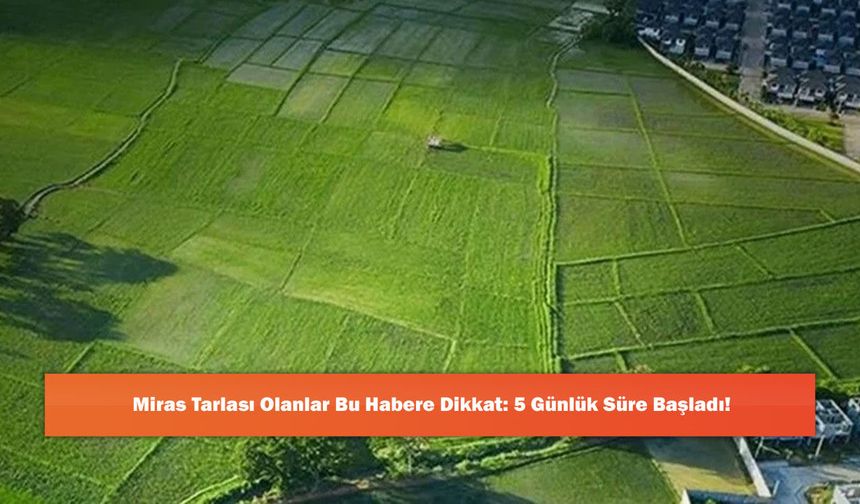 Miras Tarlası Olanlar Bu Habere Dikkat: 5 Günlük Süre Başladı!