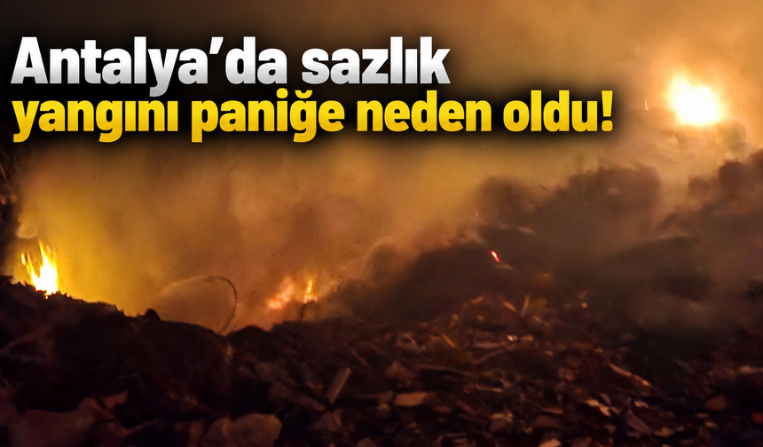 Antalya’da sazlık yangını paniğe neden oldu!