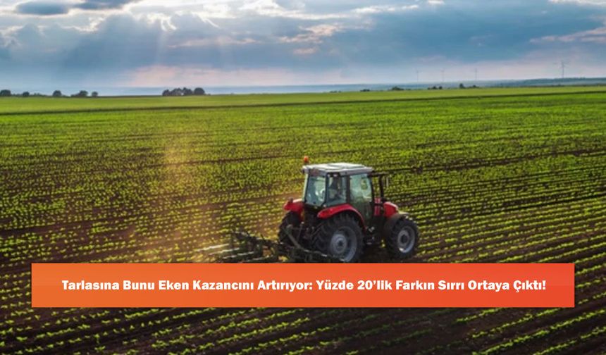 Tarlasına Bunu Eken Kazancını Artırıyor: Yüzde 20’lik Farkın Sırrı Ortaya Çıktı!