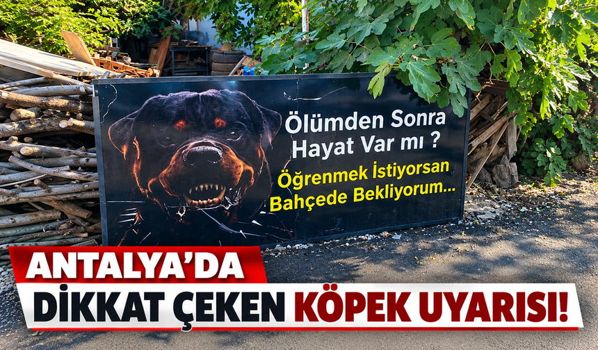 Antalya’da dikkat çeken köpek uyarısı: “Ölümden sonra hayat var mı?”