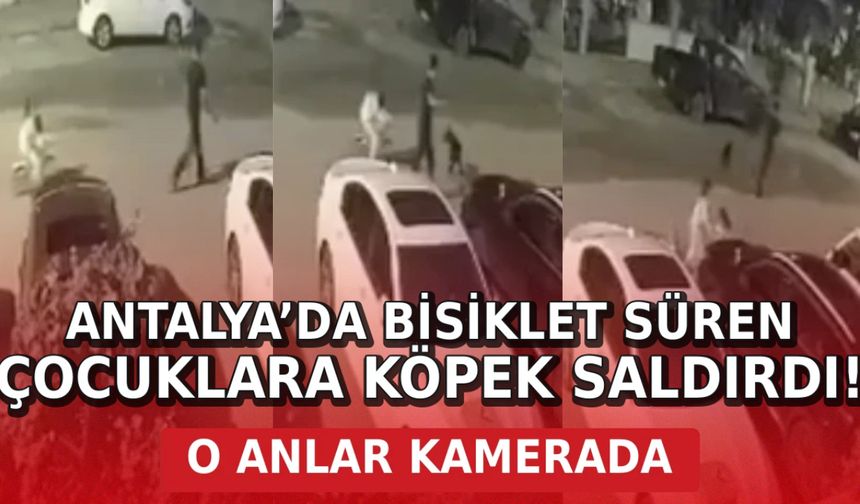 Antalya’da bisiklet süren çocuklara köpek saldırdı: O anlar kamerada