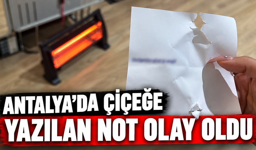 Antalya'da çiçeğe yazılan not olay oldu
