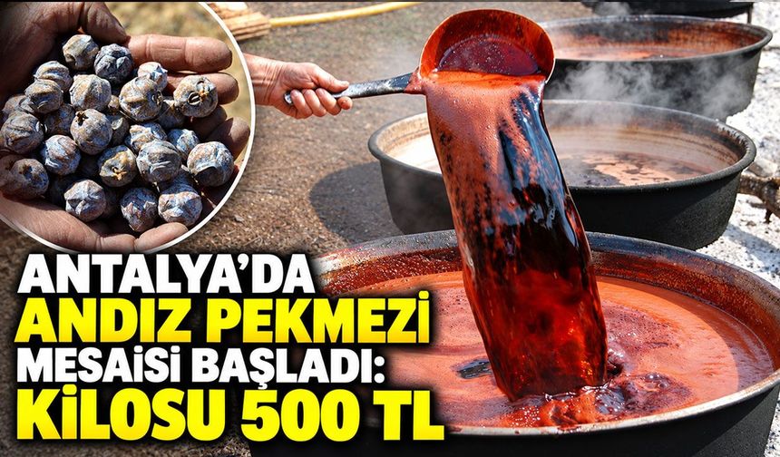 Antalya’da andız pekmezi mesaisi başladı: Kilosu 500 TL