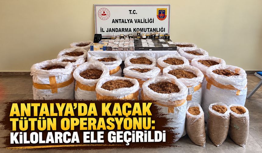 Antalya’da kaçak tütün operasyonu