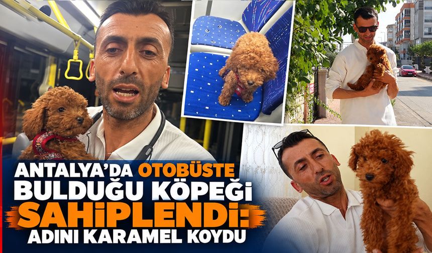 Antalya’da otobüste bulduğu köpeği sahiplendi: Adını Karamel koydu