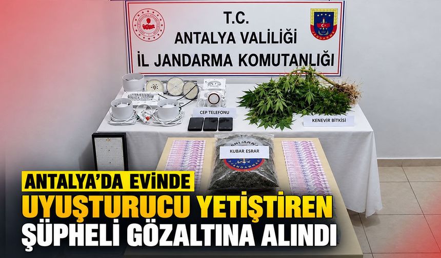 Antalya’da evinde uyuşturucu yetiştiren şüpheli gözaltına alındı