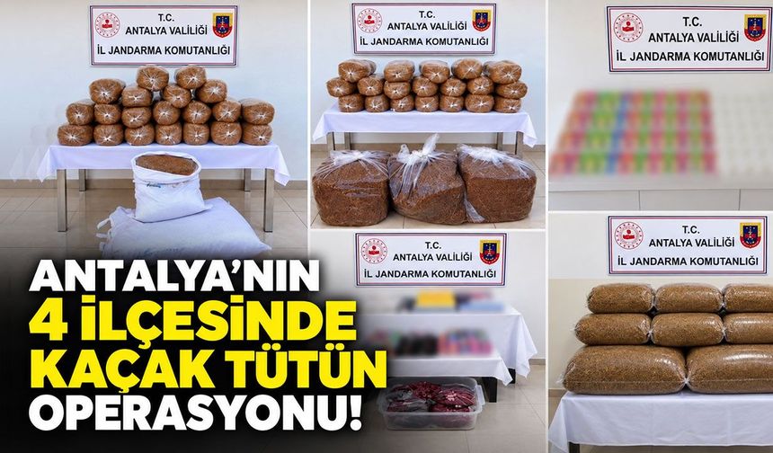 Antalya’nın 4 ilçesinde kaçak tütün operasyonu!