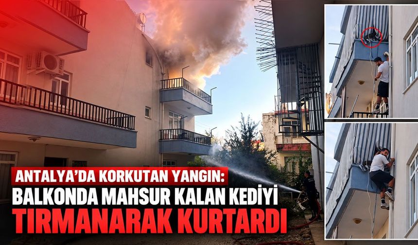 Antalya’da korkutan yangın: Balkonda mahsur kalan kediyi tırmanarak kurtardı