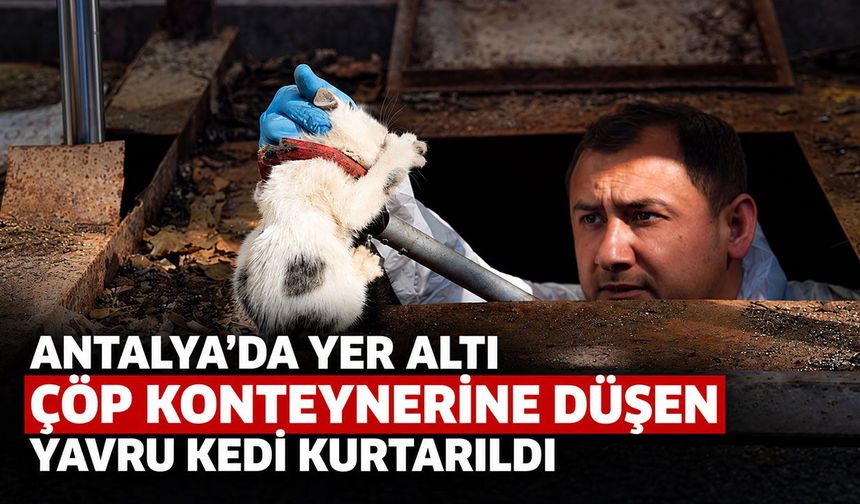 Antalya’da yavru kedi yer altı çöp konteynerinin altına düştü: Ekipler seferber oldu