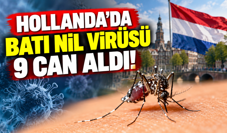 Hollanda’da Batı Nil virüsü 9 can aldı!