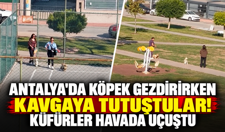 Antalya'da köpek gezdirirken kavgaya tutuştular! Küfürler havada uçuştu