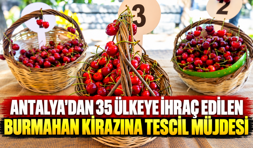 Antalya'dan 35 ülkeye ihraç edilen Burmahan kirazına tescil müjdesi