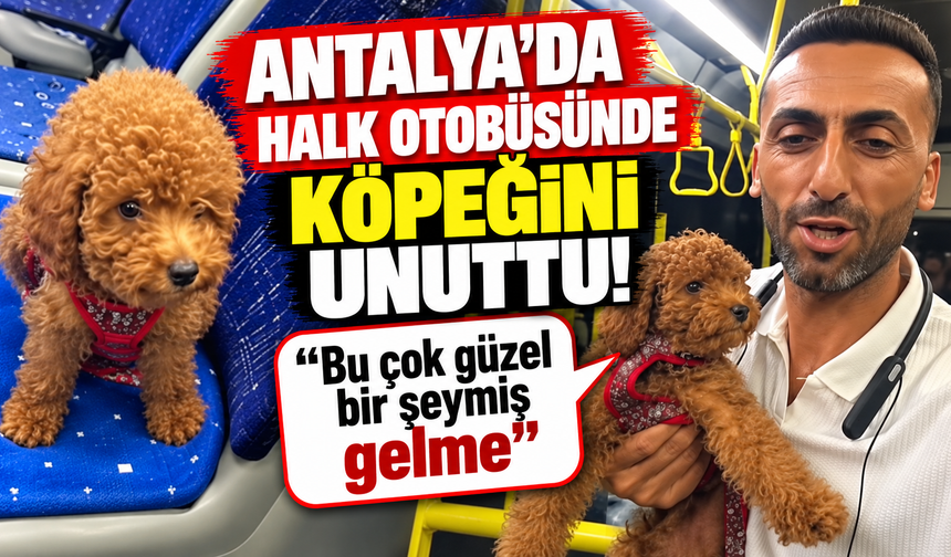 Antalya'da halk otobüsünde köpeğini unuttu! "Bu çok güzel bir şeymiş gelme"